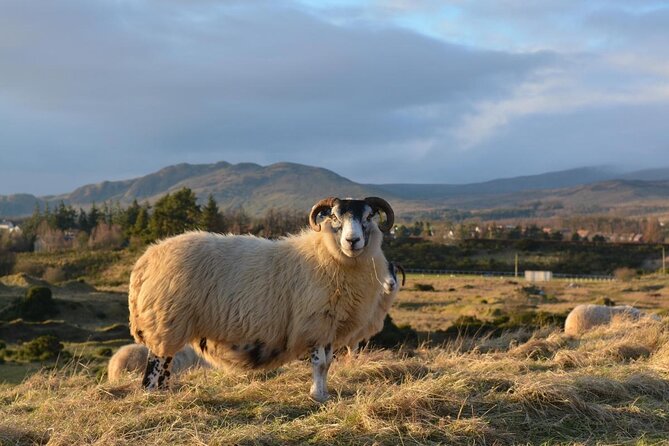 1 Day Castles, West Highlands and Loch Lomond Tour from Edinburgh - Why this Edinburgh day trip works