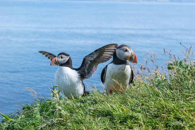 1 Day Moray Coast Tour with Speyside Whisky from Inverness - Key points to know before booking