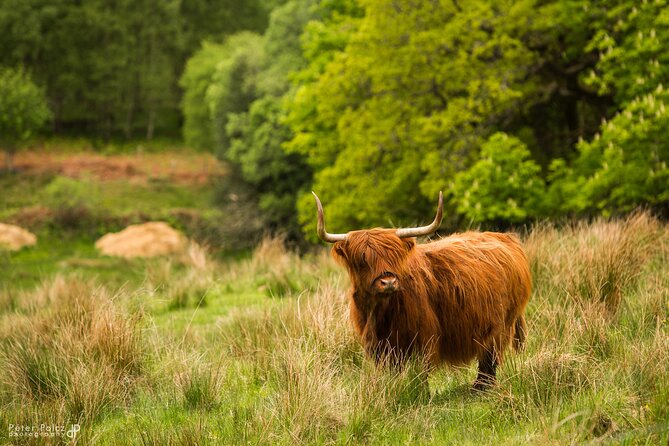 1-day Small Group Loch Ness Discovery Tour from Glasgow - Fort Augustus and two useful hours beside Loch Ness