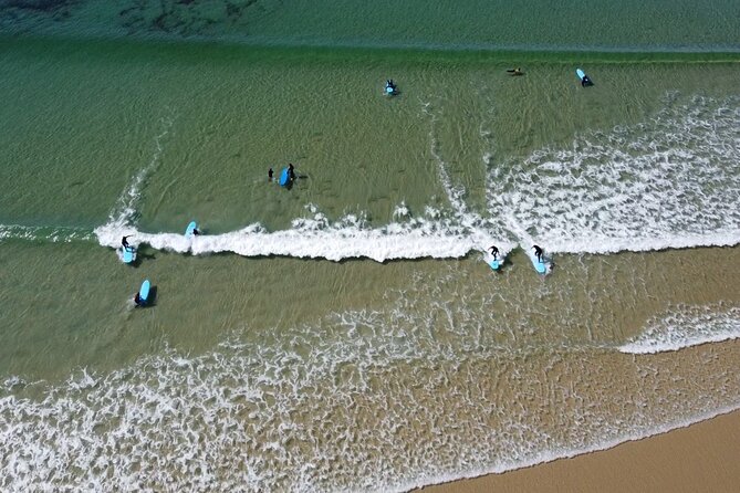2 hour group lesson (3-16 people) - The North Sea setting and wildlife