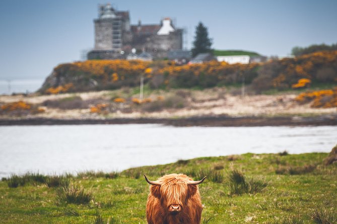 3-Day Isle of Mull and Iona Small-Group Tour from Glasgow - The coach, group size, and physical demands