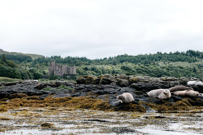 3-Day Isle of Skye, 'Hogwarts Express' Train and Highlands Tour - Is $926.56 a fair price?