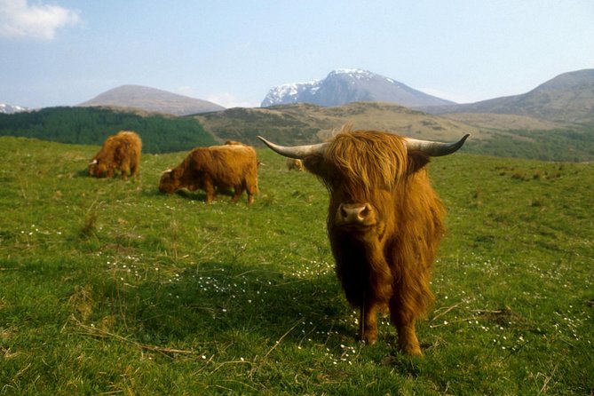 3-Day Isle of Skye, 'Hogwarts Express' Train and Highlands Tour - Who should book this Highland trip?