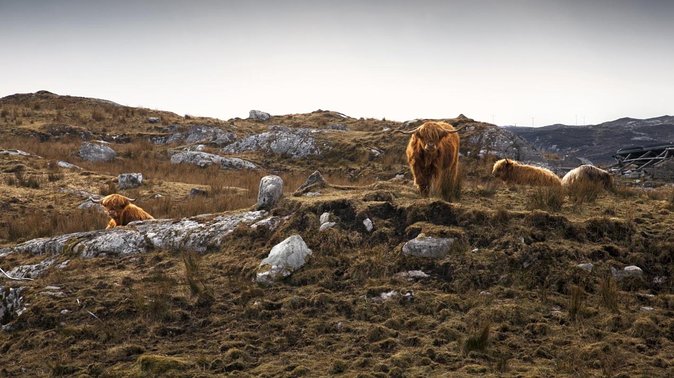 3-Day Lewis, Harris and the Outer Hebrides Small-Group Tour from Inverness - Why this three-day route works