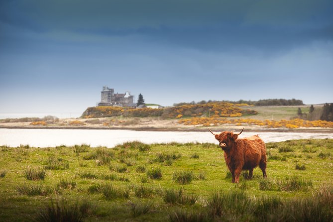 4-Day Magical Mull, Iona & West Highlands Small-Group Tour from Edinburgh - What the $1,080.36 price covers