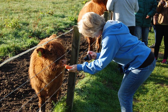 5-Day Best of Scotland Tour from Edinburgh - A five-day route through Scotland’s big sights
