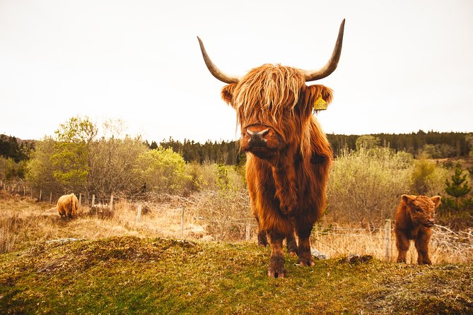 5-Day Orkney & Northern Coast Tour from Edinburgh Incl Admissions - Day 4: Northern Orkney and the Assynt wilderness