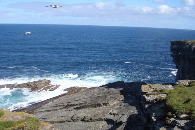 5-Day Orkney & Northern Coast Tour from Edinburgh Incl Admissions - Day 5: Culloden, Clava Cairns, and the road back to Edinburgh