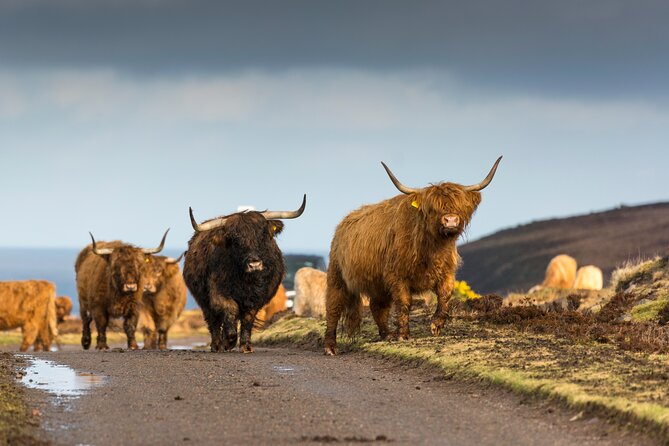 8 Day Isle of Skye, Orkney & North Coast 500 tour from Edinburgh - Days 1 and 2: From Dunkeld to the far north