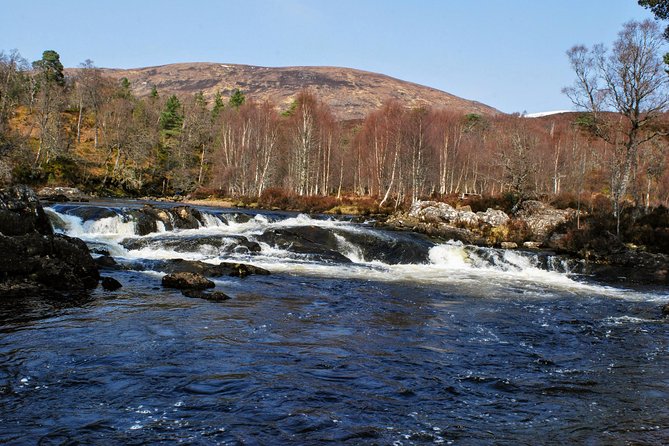 Alternative Loch Ness Tour by Secret Highlands - Glen Affric, the scenic center of the day