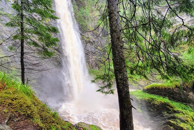 Alternative Loch Ness Tour by Secret Highlands - Price, group size, and what you receive