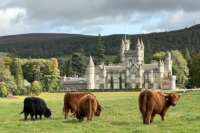 Balmoral & Royal Deeside Tour - Tomnaverie Stone Circle and a 4,500-year-old question