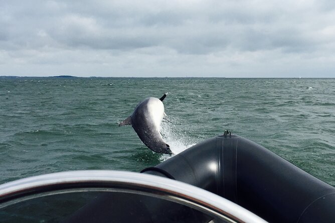 Boat Seafari Adventure - The guide and the commentary