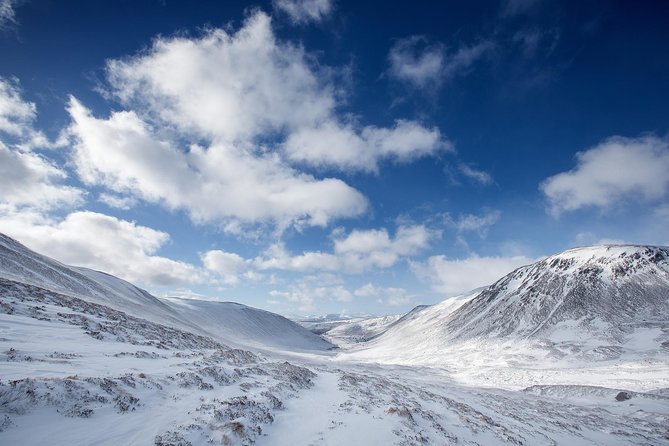 Cairngorms & Whisky Day Tour from Inverness Including Admission - The guide can shape the whole day