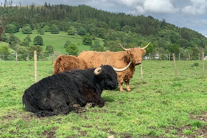 Central Highlands lochs Stirling Whisky private driving - Why this private day works well from Edinburgh