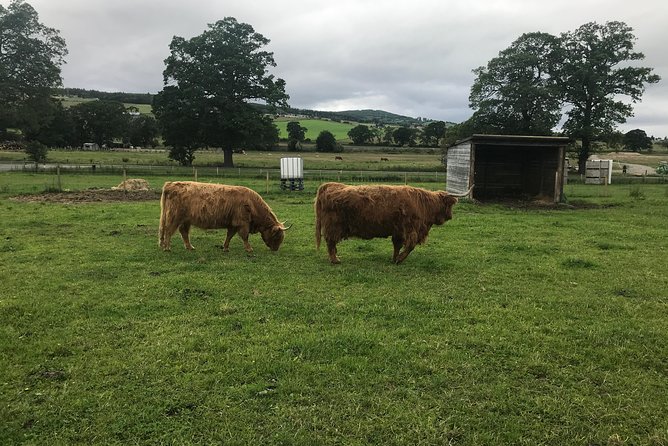 Culloden Battlefield, Clava Cairns and Loch Ness, Urquhart Castle - Culloden Battlefield deserves the longest stop