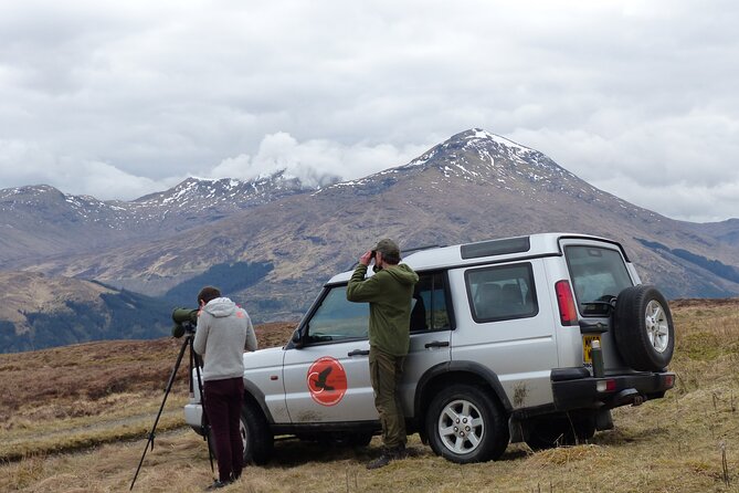 Discovery Wildlife Safari - Wildlife watching with the right tools