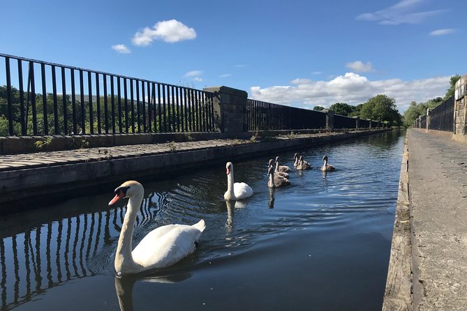 Edinburgh City Bike Tour - Choice of E-Bike or Manual - Following the Water of Leith on old railway lines