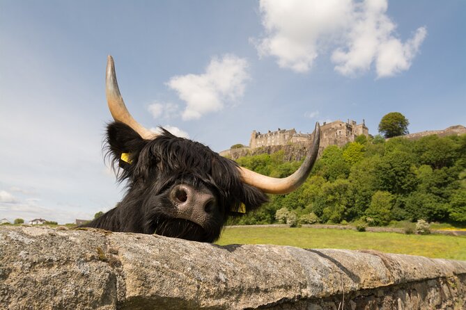 Edinburgh: Loch Lomond, Stirling Castle and the Kelpies Day Tour - One day from Edinburgh, five very different stops