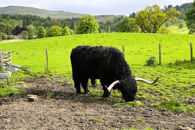 Edinburgh: Loch Ness, Glencoe & The Highlands - Fort William is the practical lunch break