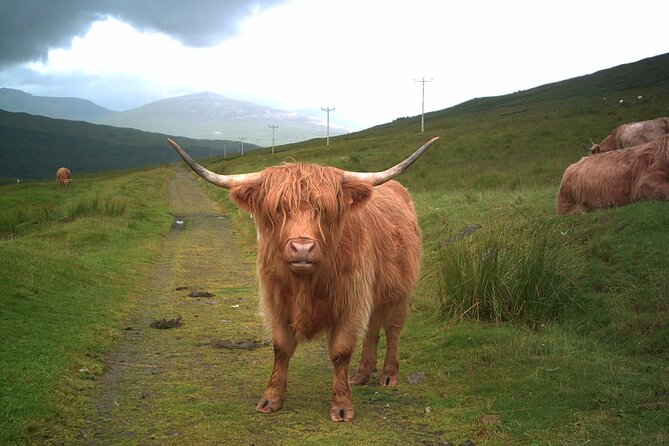 Edinburgh: Private Loch Ness Glencoe and The Highlands Tour - Fort Augustus and Loch Ness: decide how to spend your two hours