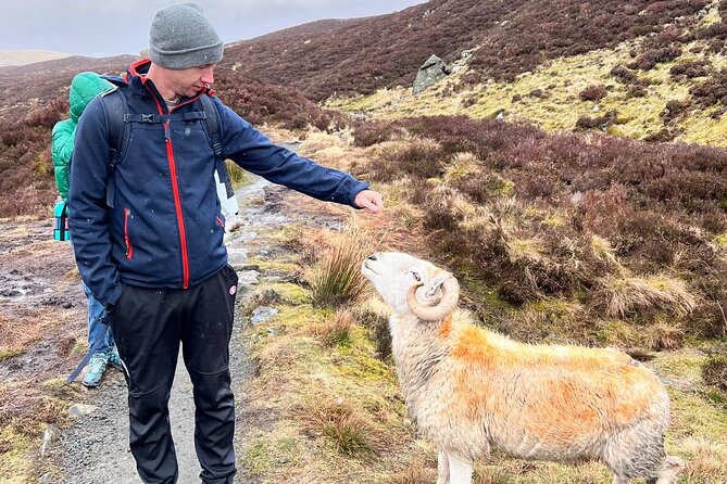 English Speaking Homestay Exploring Edinburgh and National Parks - Day 1: Arriving in Moffat and meeting your group