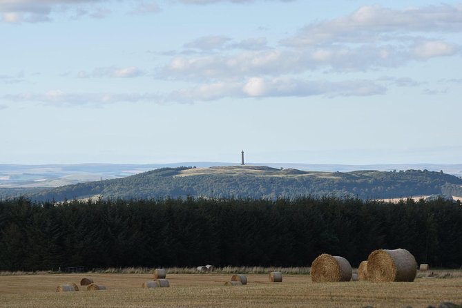 Farm Attraction - Highland Cows, Animal Feeding, Wholesome fun! - How to make the most of your visit