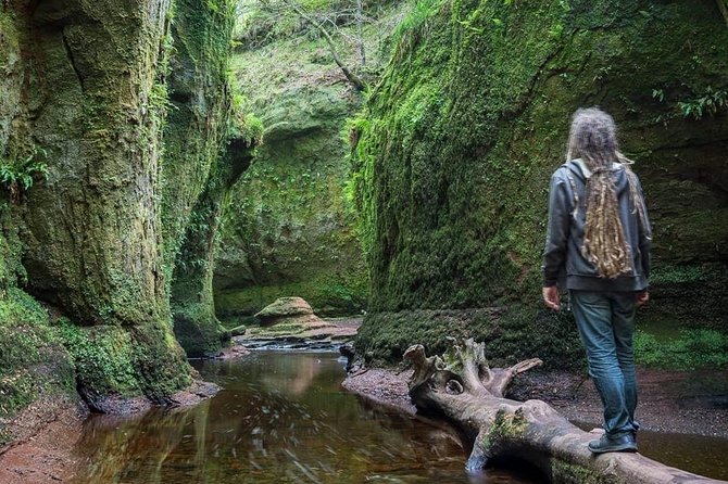 Find a hidden Glen in Scotland's woods - Walking down to the Devil’s Pulpit