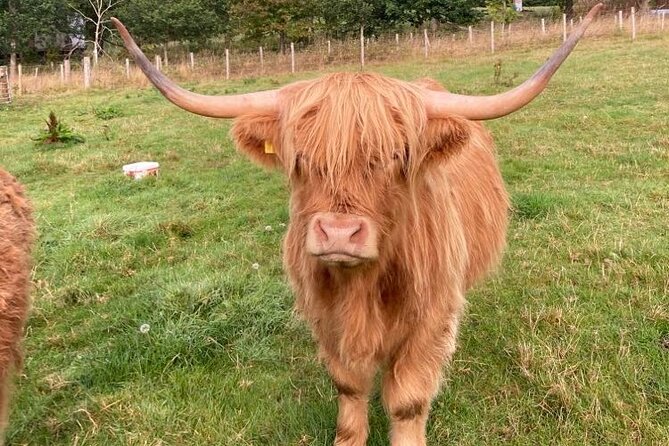 From Inverness visit Loch Ness, Culloden & Cawdor Castle Day Tour - Practical booking advice before you go