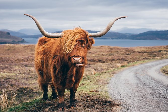 Glasgow: Isle of Skye, The Highlands and Loch Ness - 3 Day Tour - Should you book the Isle of Skye tour?