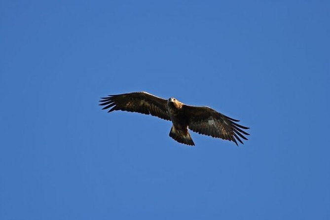Glenaladale Cruise - Great for wizard spotting! - Setting out from Glenfinnan at 10:40 a.m.