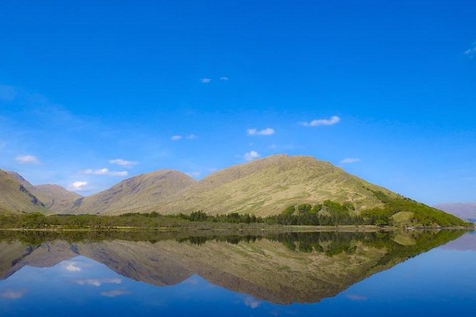Glenaladale Cruise - Great for wizard spotting! - Wildlife on Loch Shiel