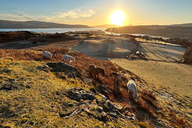 Guided Hebridean Farm Hike near Tobermory, Isle of Mull, Scotland - A practical look at the $47.99 price