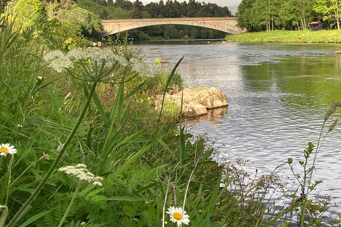 Guided Walks in Grantown-on-Spey - Anagach Woods brings a quieter side of Speyside