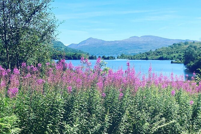 Half Day Loch Katrine Explorer Private Ebike Tour - Who will enjoy this ride most
