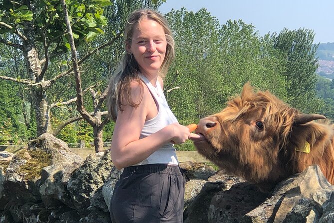 Highland Cows, Walk Alpacas & Scottish Wildlife Centre from Edin. - A guide who can make the day easier