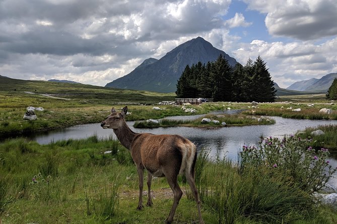 Highlands Private One Day Tour of Scotland - Andy’s role and the feel of a family-run tour