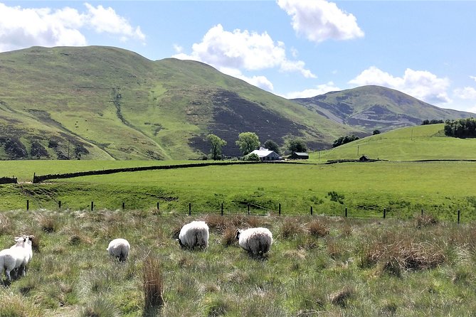 Hill & Nature Hike - Discover Real Edinburgh With a Local Expert - Rishi’s guiding style and local detail