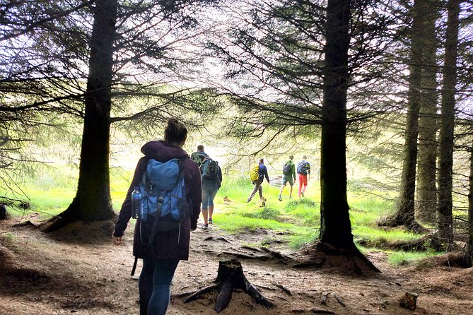 Hill & Nature Hike - Discover Real Edinburgh With a Local Expert - Highland cows, lochs, and the changing route