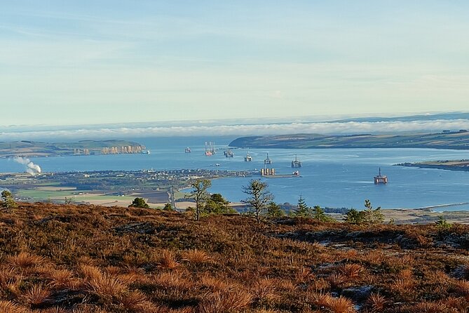 Invergordon cruise excursion Small Group Dunrobin Castle & More - Loch Fleet and the seal-watching gamble