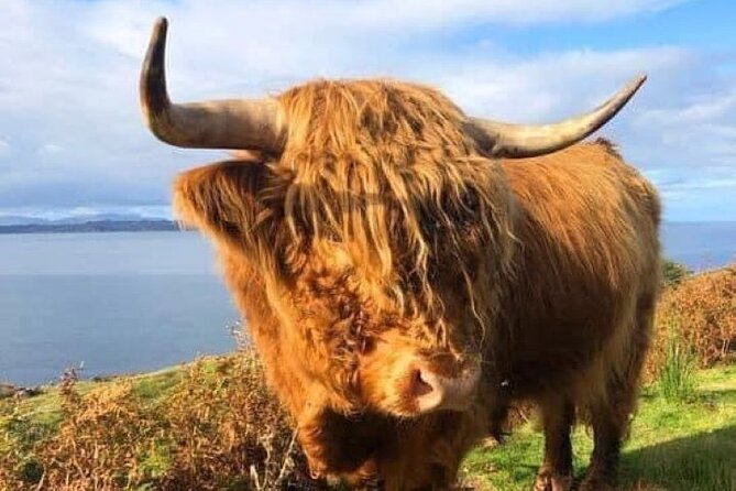 Invergordon Cruise Ship Tour Dunrobin Castle, Dornoch, Distillery - Two hours at Dunrobin Castle and Gardens