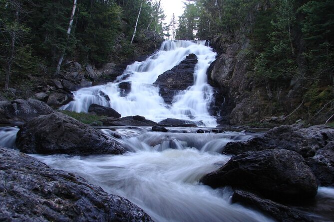 Invergordon Cruise Ship Tour Dunrobin Castle, Dornoch, Distillery - Falls of Shin adds a short riverside pause