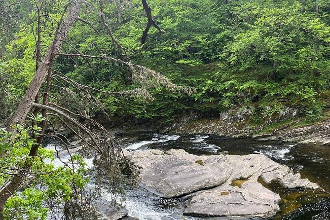 Invergordon or Inverness: Loch Ness Explorer Private Tour - Drumnadrochit, Nessie shops, and optional attractions