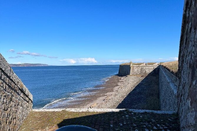 Invergordon Private Tour: Fort George, Cawdor Castle & Loch Ness - Robertson’s The Larder and the Highland cows
