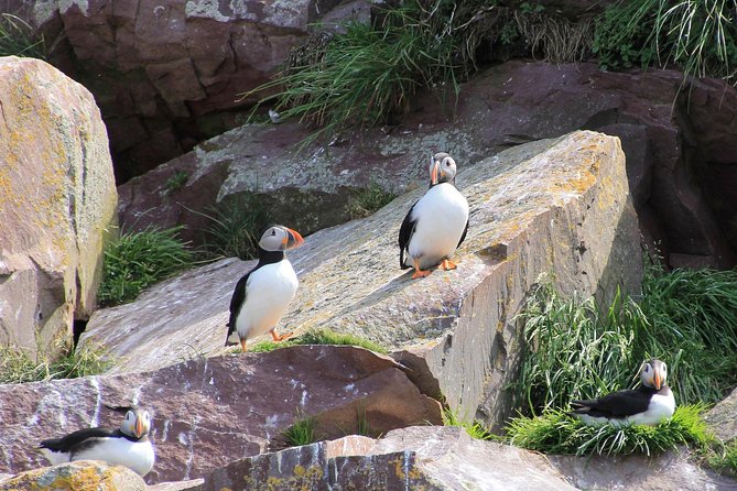 Inverness: John O'Groats, Dunrobin Castle & the Far North - Helmsdale connects scenery with Highland history