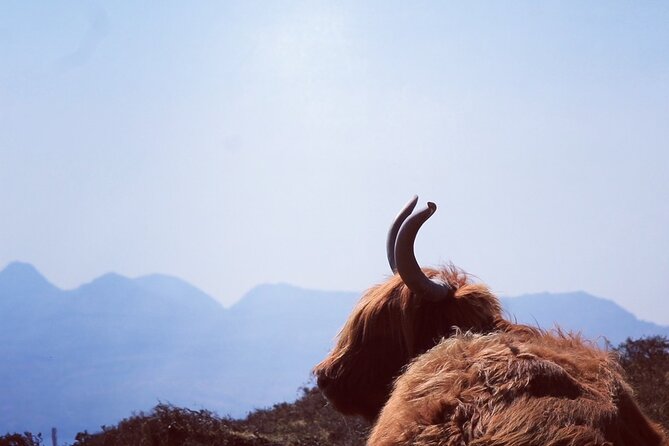 Isle of Skye and Fairy Pools Day Tour leaving from Portree - Key points at a glance