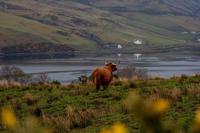 Isle of Skye and the Fairy Pools Tour - From Inverness to Loch Ness