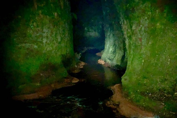 Join the Dark Side of Magical Nature - Why the Devil’s Pulpit feels different at night