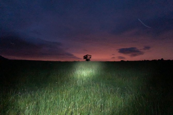 Join the Dark Side of Magical Nature - Weather, fitness, and what to bring