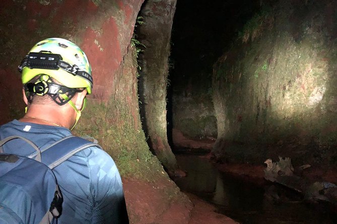 Join the Dark Side of Magical Nature - Who will enjoy this night tour?